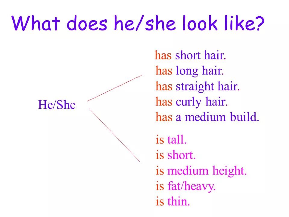 She like doing. What is he like и what does he look like разница. What does she look like what is she like. To be like разница to look like. Картинки what does he look like.