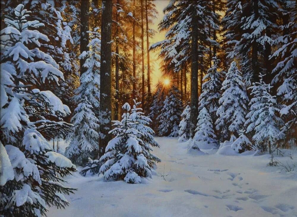 Изображен зимний лес. Зимний лес.