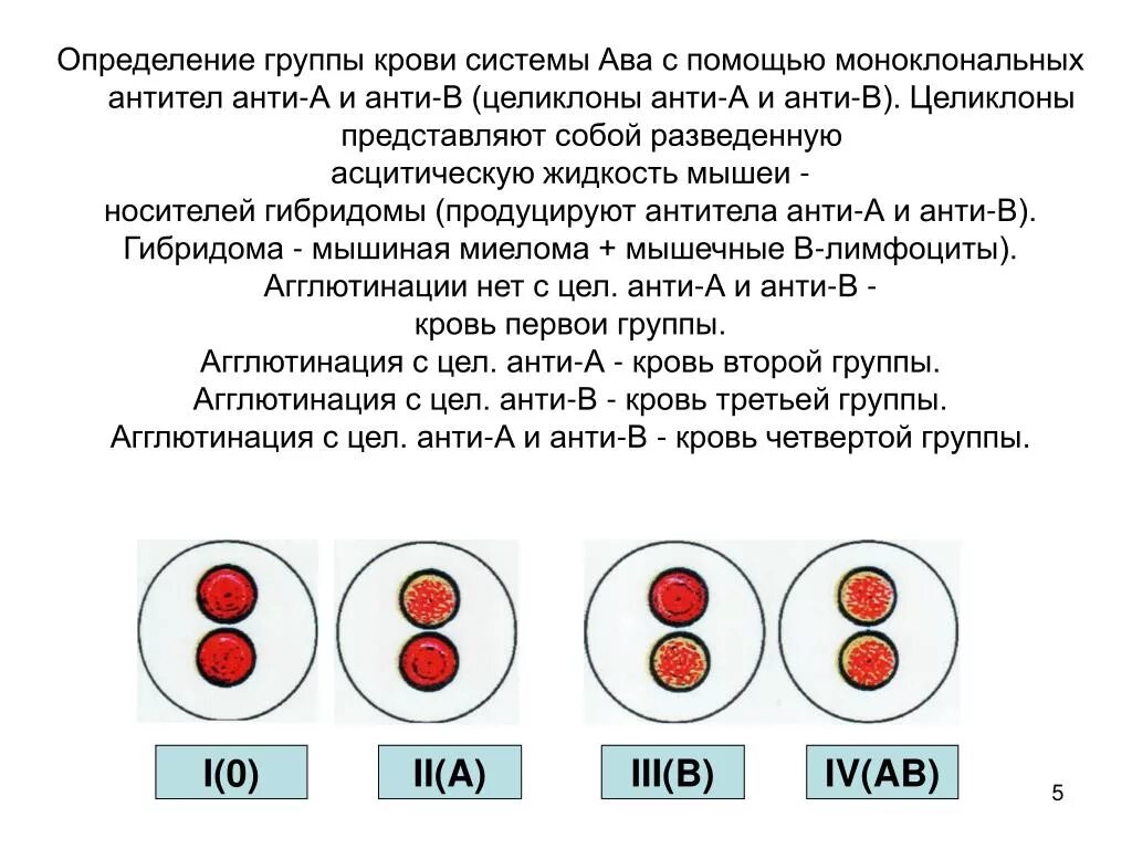 Методика определения гр крови. Забор крови для определения групп крови и резус-фактора. Методики определения группы крови по системе АВО И резус-фактору.. Методы определения групп крови системы АВО.