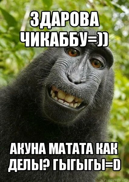 Здравствуй мир. Коль здравствуй. Коль здравствуй. Здравствуй мир здравствуй друг. Здравствуйте картинки.