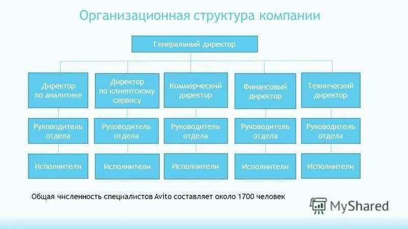 Может ли может ли финансовый директор. .Организационная структура предприятия ген директор. Структура организации с коммерческим директором. Коммерческий директор оргструктура. Коммерческий директор организационная структура.