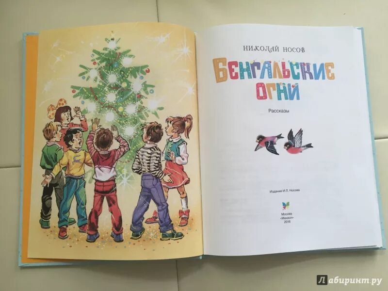 Бенгальские огни книга. Бенгальские огни носов книга. Рассказ бенгальские огни носов. Рассказ николая носова бенгальские огни. Бенгальские огни носов книга.
