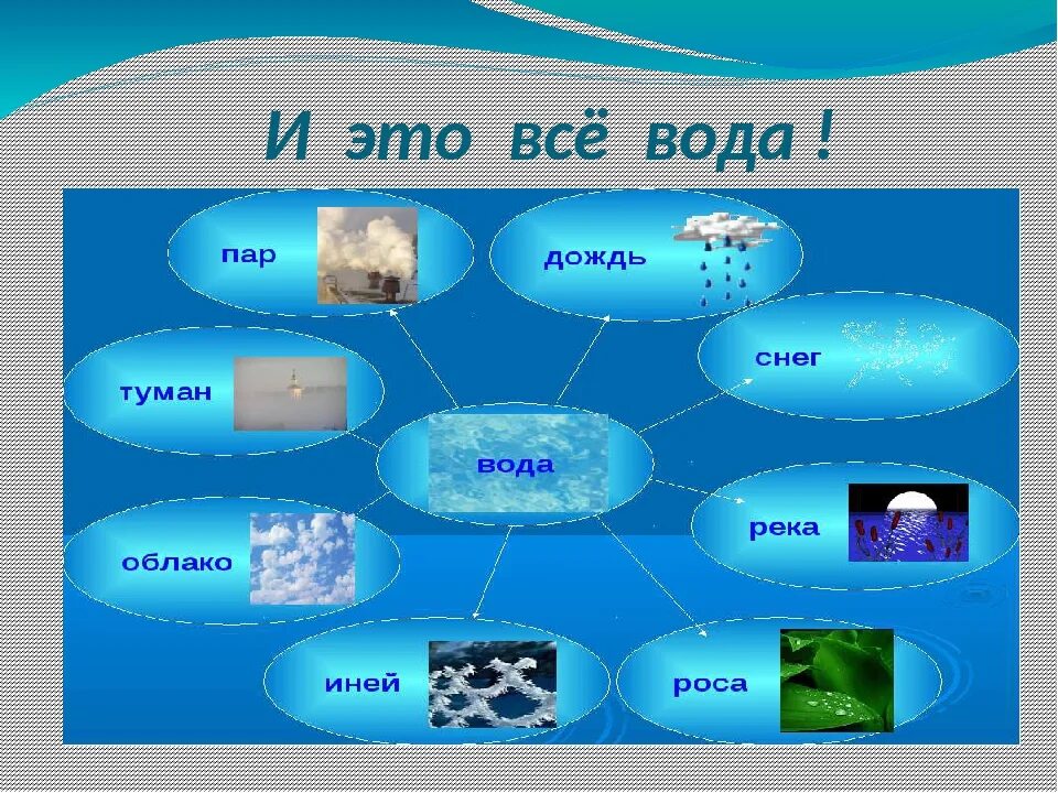 Кластеры воды. Кластер на тему источники воды. Кластер вода химия. Кластер по воде химия. Использование воды и железа