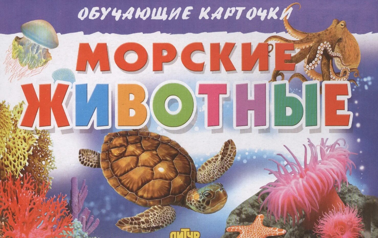 Морские обитатели книги. Морские обитатели карточки для детей. Морские животные. Обучающие карточки. Обитатели моря для детей. Обитатели океанов для детей.