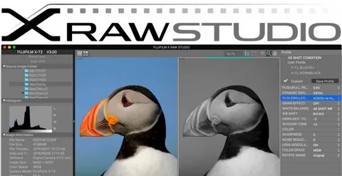 Fujifilm x raw