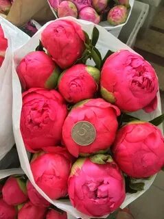 Когда продают пионы в цветочных