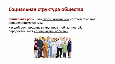 Социальные группы огэ