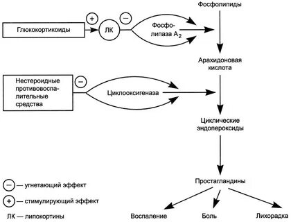 Противовоспалительные глюкокортикоиды