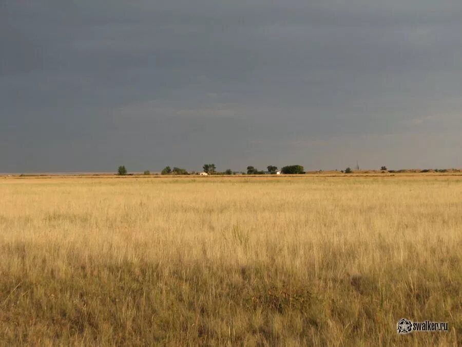 Домбаровский район. Оренбургские степи Домбаровский. Поселок полевой Домбаровский район. Домбаровский аэродром.