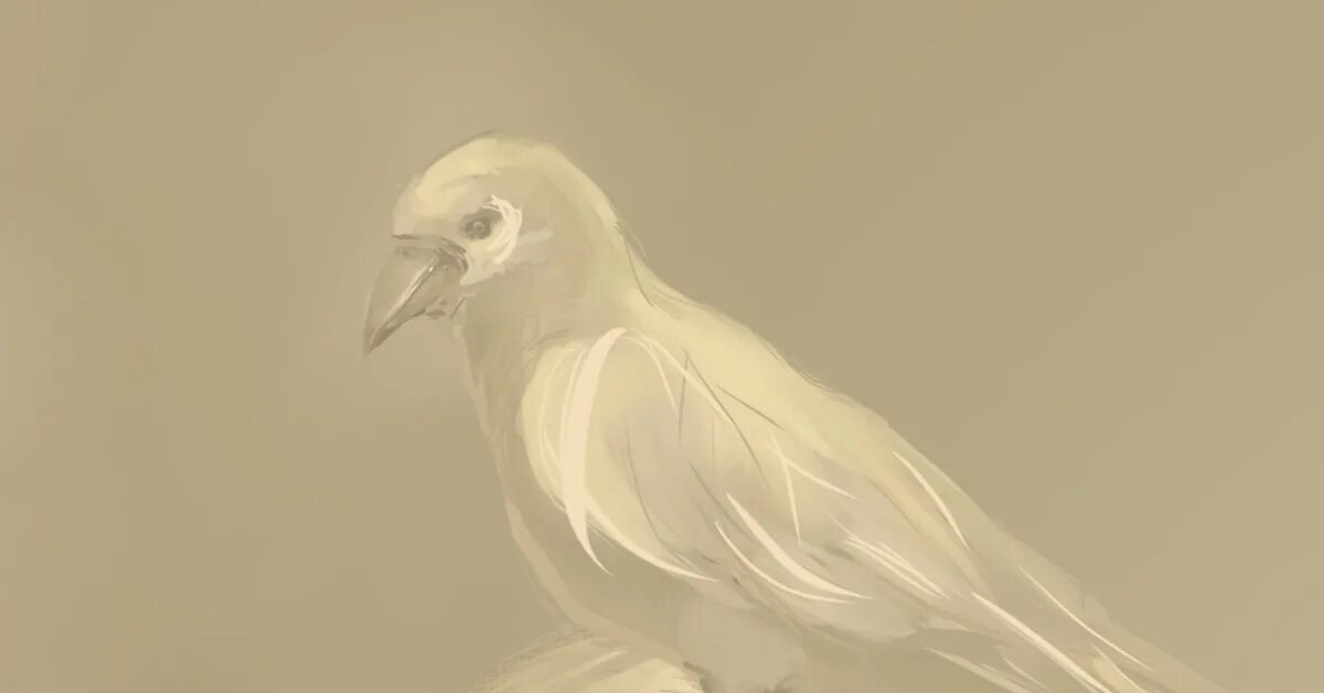 Белая ворона стихотворение. Ворона альбинос арт. Белый ворон книга сергей герасименко. Ворона альбинос арт. Сергей герасименко белый ворон.