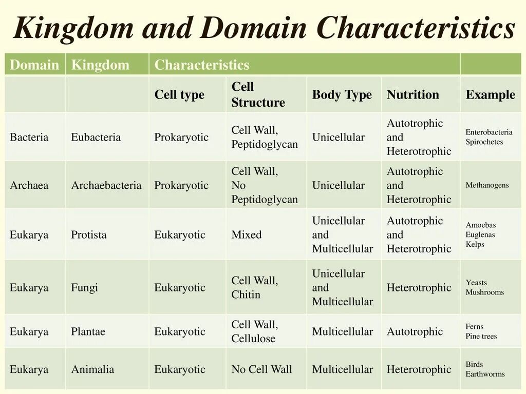 Domain our. Rock группа kingdom come 1988. Ленни вольф 1988. Kingdom come рок-группа. Domain our kingdom 1988.