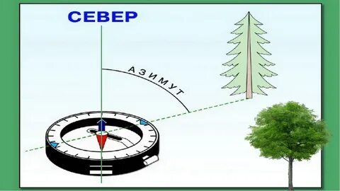 Ориентированы и т д