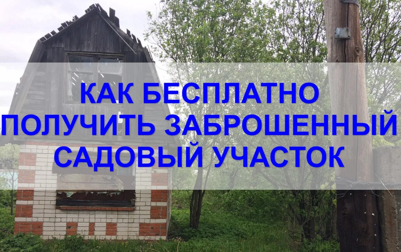 Заброшенный дачный участок. Как получить в собственность заброшенный земельный участок. Заброшенная дача. Заброшенная снт. Заброшенный дачный участок.