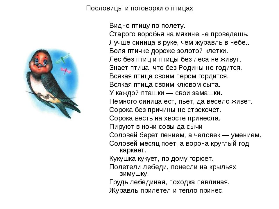 Спой мне соловей как любовь была сильна. Стихи про птиц. Стихи про птиц для детей. Птицы в поэзии. Стихи про птиц для школьников.