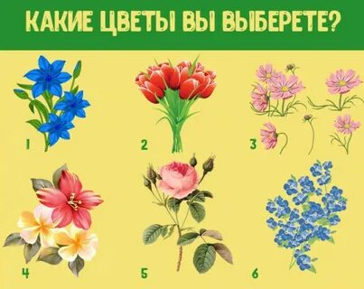 Тест какой я цветок
