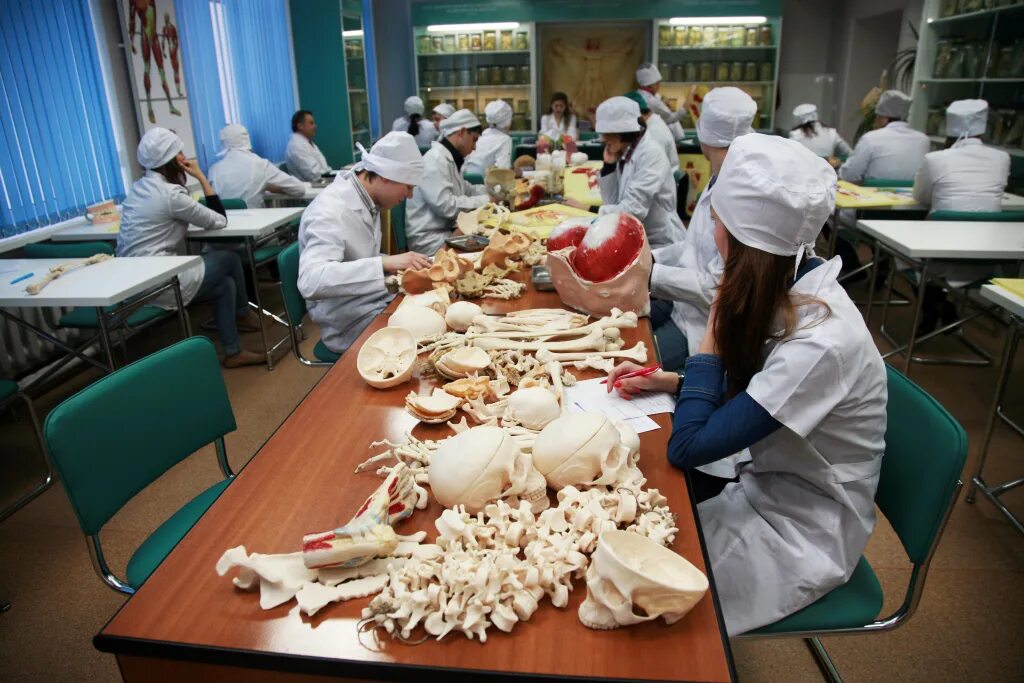 Тюменский государственный медицинский университет фото. Кафедры тюмгма. Тюменский медицинский университет изнутри. Кафедра патологической анатомии самгму. Кафедры тюмгма.