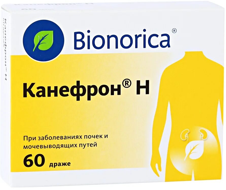 5 нок или канефрон. Канефрон н n120 табл п/о. бионорика канефрон. лекарство от почек канефрон. таблетки для почек и мочевыводящих путей.