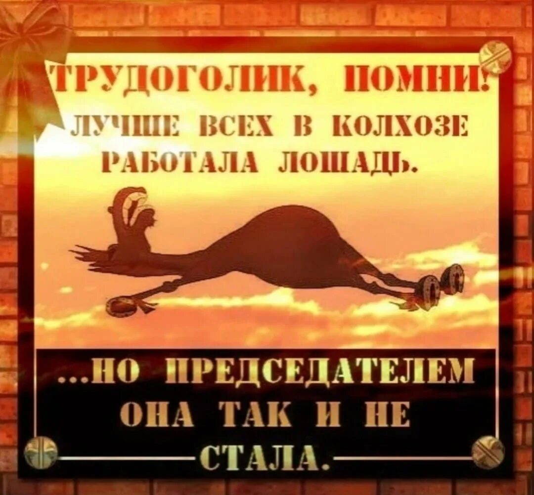 Лошадь работала но председателем. Лошадь председателем не стала. лошадь не стала председателем колхоза. но председателем она так и не стала. лошадь работала но председателем так и не стала.