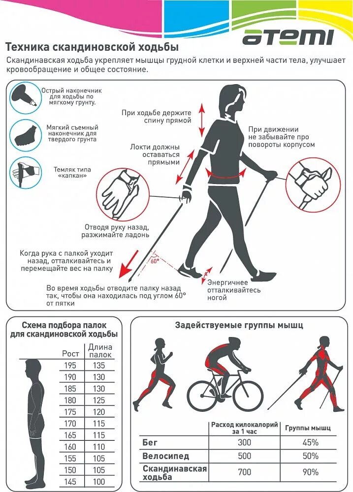 Ходьба или бег что лучше для похудения. Палки для скандинавской ходьбы Atemi ATP-02, стекловолокно, 105 см. Палки для скандинавской ходьбы Размеры. Палки для скандинавской ходьбы подобрать по росту. Таблица для выбора палок для скандинавской ходьбы.