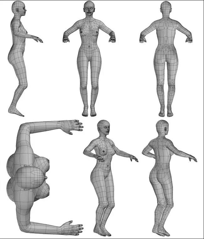 Модель человека фотографиям. Моделирование фигуры человека 3dsmax. Модель человека. Модель человека для моделирования. Макнр человека для моделирования.