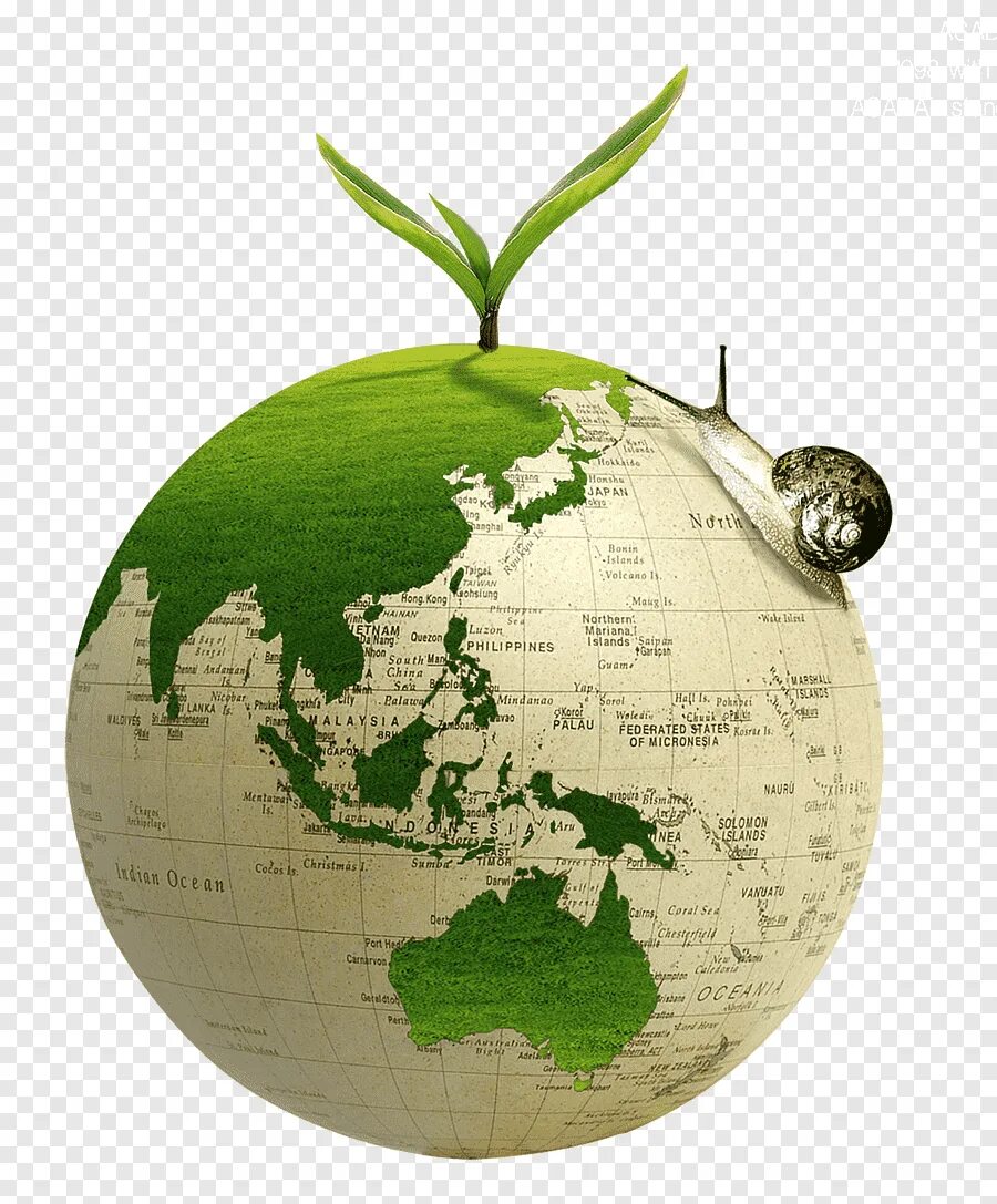 Зеленая земля. Экология клипарт. Глобус экология. Экология картинки на белом фоне.