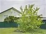 Авито арамиль