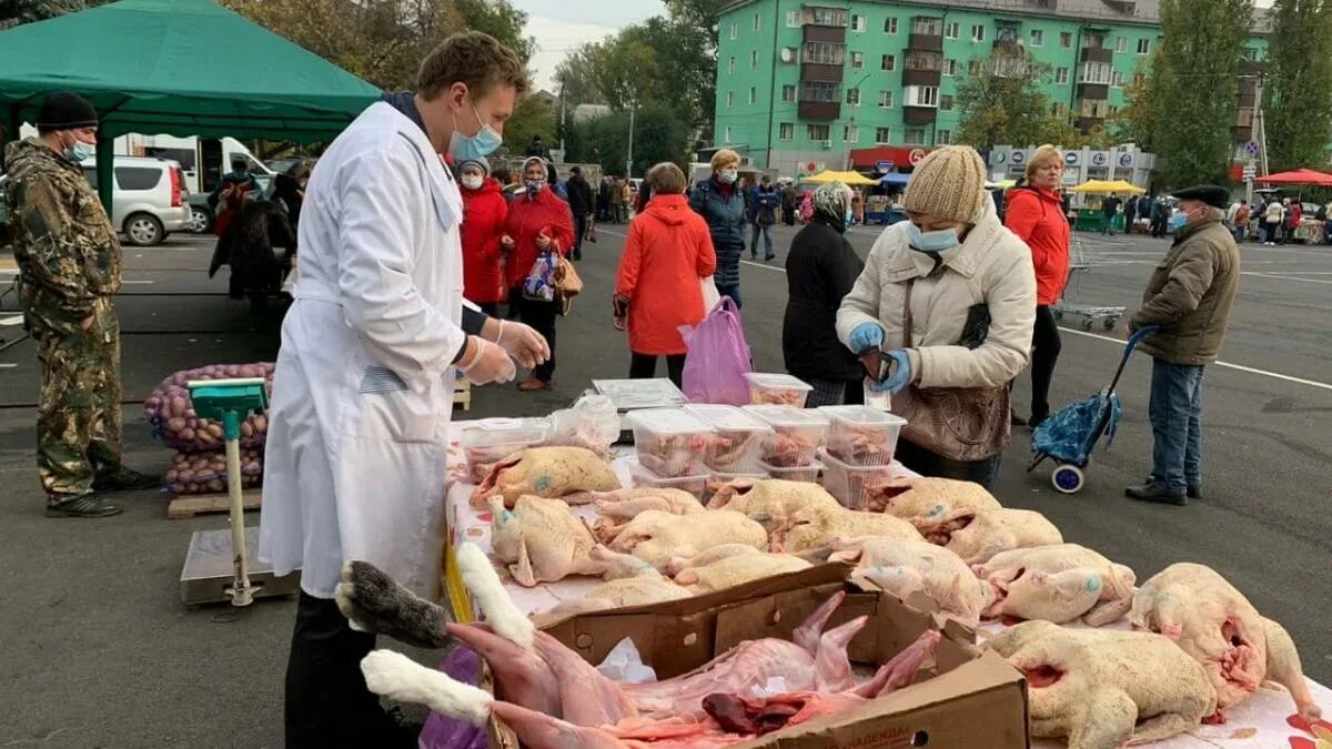 Главные курские новости. Курская сельхоз ярмарка. Сельхоз ярмарка на литовской Курск. Сельхозярмарка, Москва. Ярмарка сельскохозяйственной птицы в Курске в 2023.