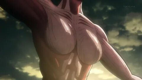 Attack on titan tits.