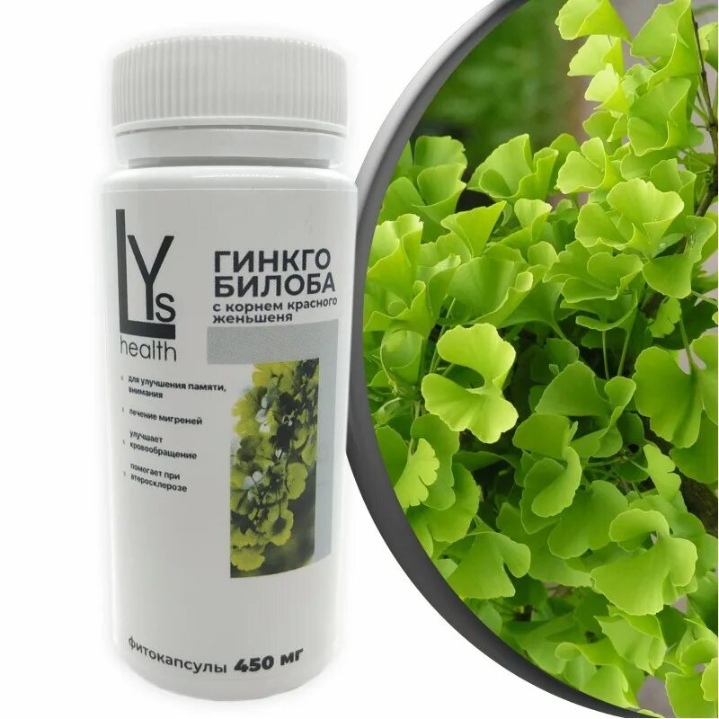 Гинкго двулопастный экстракт. Гинкго билоба. гинкго билоба (ginkgo biloba). гинкго билоба 800 мг. экстракт листьев гинкго билоба.