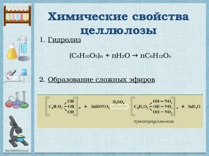 Химические свойства крахмала и целлюлозы