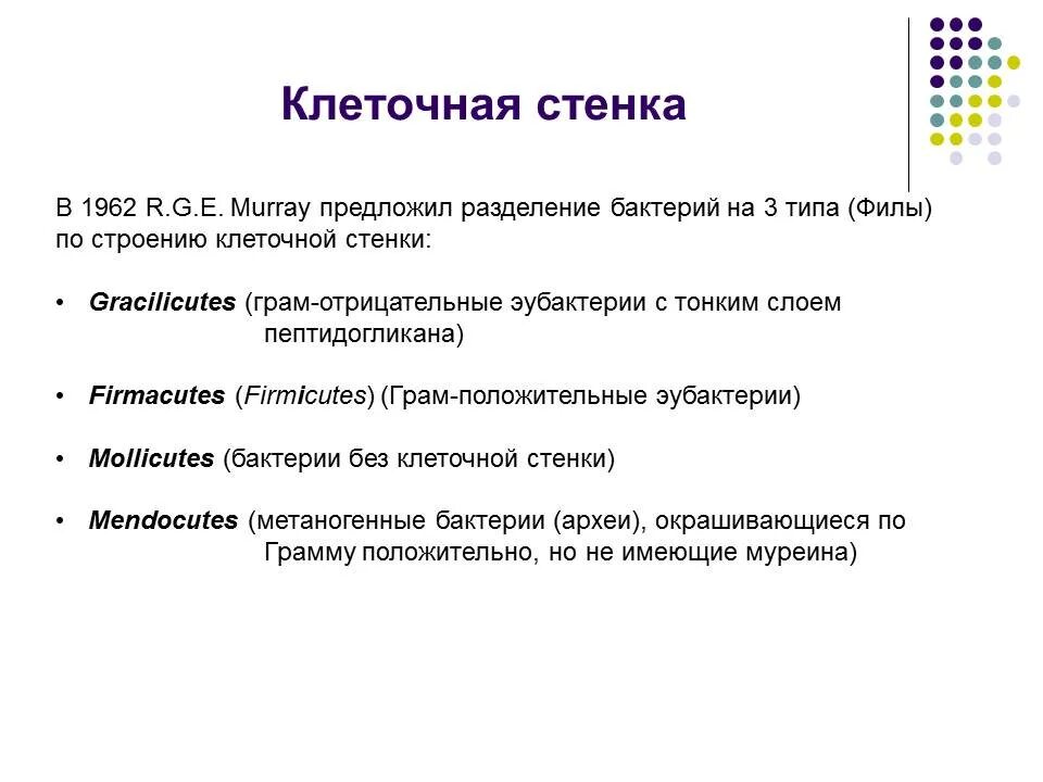 Наркотики виды. Виды филов. Виды всех филов. Социальное положение виды. Типы моделей с примерами.