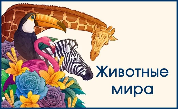 Конкурс мир животных. Конкурс животные. Конкурсы для детей про животных. Животное на конкурс.