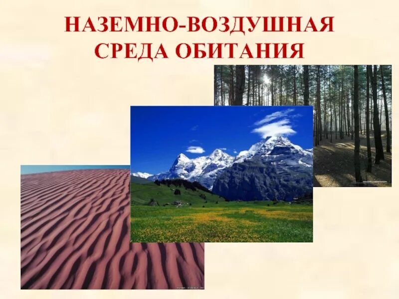 Наземно-воздушная среда. Воздушно-наземная среда обитания. Воздушная среда обитания. Наземно-воздушная среда картинки.