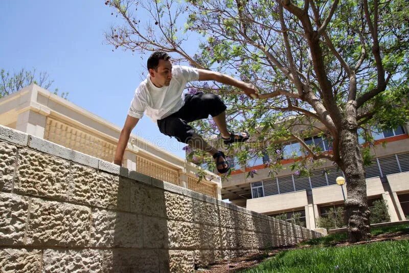 Jump over the fence. Over the fence. get over a fence.