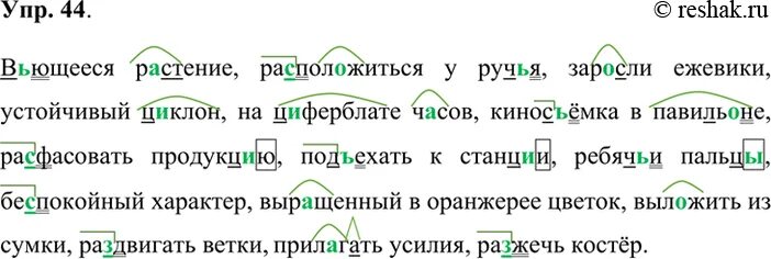 Подчеркнуть слова трава цветок. Графически обозначить орфограммы. Вьющиеся растения расположиться у ручья. Графически обозначьте орфограммы. Графичиский обозначить орфограму.