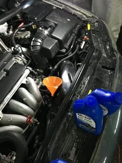2 4 4 4 заливают