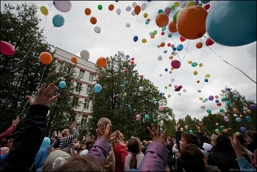 Шары были выпущены. Дети выпускают шары. Дети выпускают шары в небо. Выпускники выпускают шары в небо. Дети выпускают шары на улице.