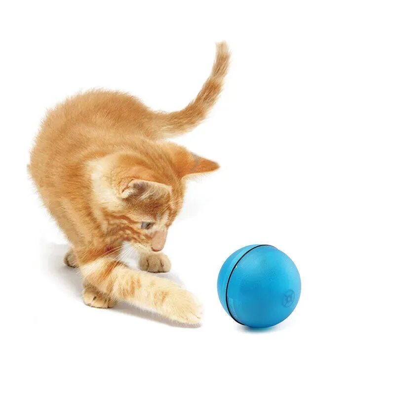 Кошка играет с мячиком. Котенок с мячиком. мячики для кошек. мяч с котенком. интерактивная игрушка кошка.