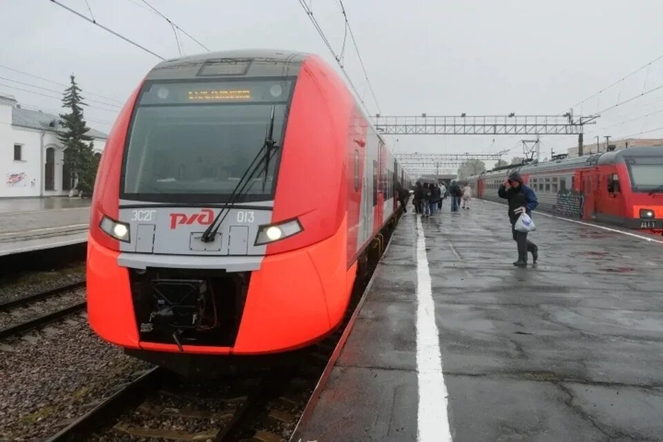 Инцидент с лосем стал причиной задержки "Ласточки" из Петербурга - РБК