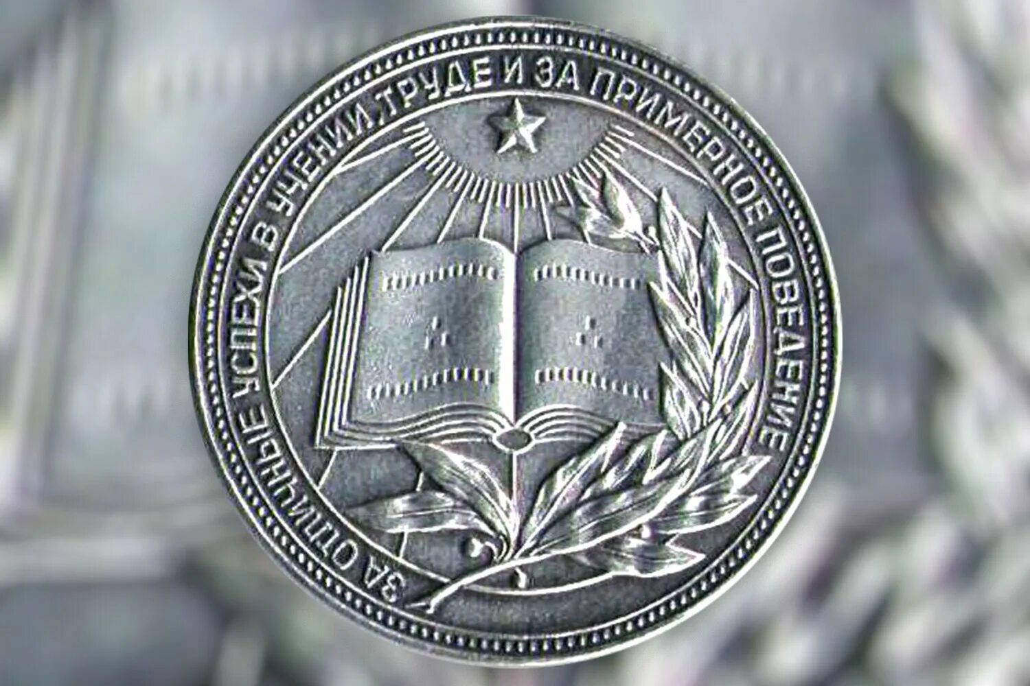 Серебряная медаль в школе 2024 года