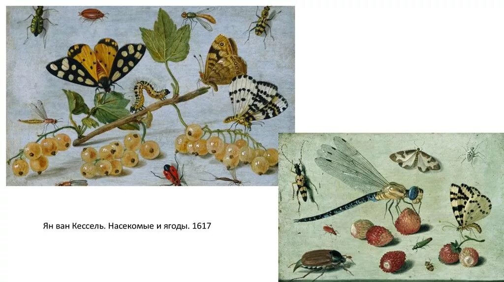 Ван кесселя. Ван кесселя. Ван кесселя. Ван кесселя. Ван кесселя.