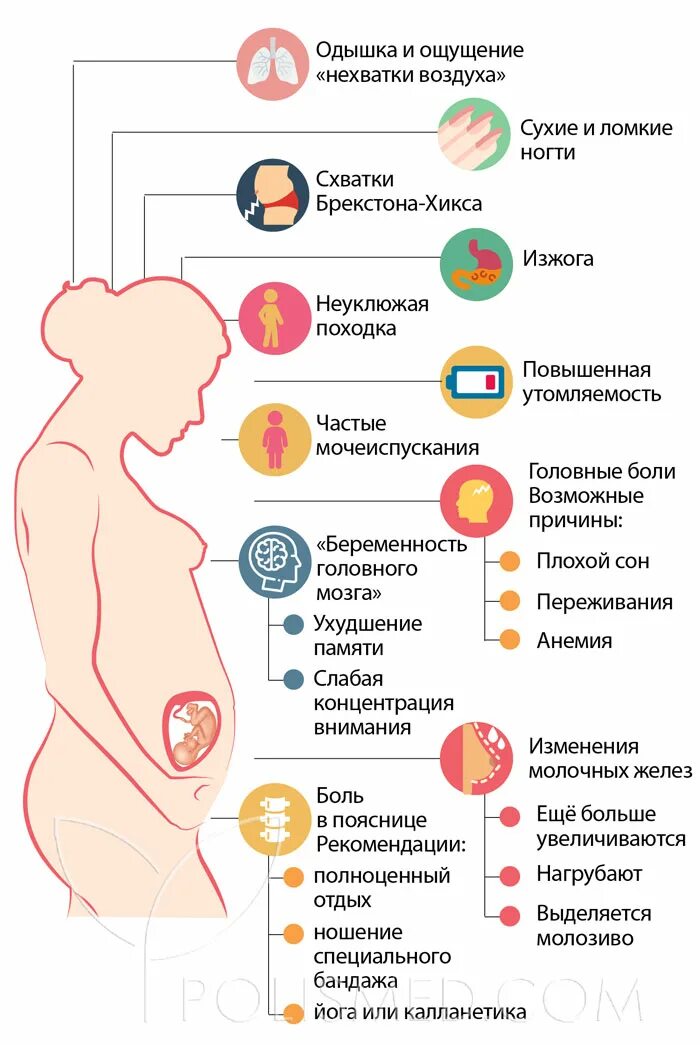 39 недель головные боли. Недели беременности. Головная боль при беременности 11 недель. Тридцать первая неделя беременности. Живот при беременности на 31 неделе.