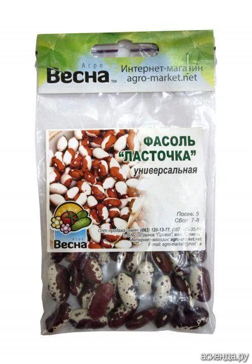 Фасоль сорт ласточка. Фасоль ласточка. сорта фасоли ласточка. фасоль ласточка семена. фасоль ласточка описание сорта фото.