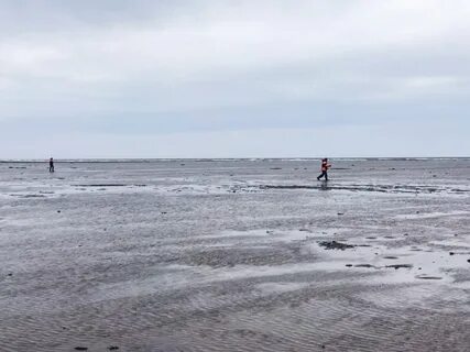 Работа на белом море