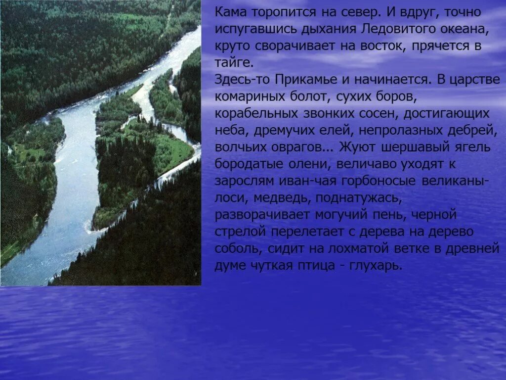 Кама тра. Рассказ о реке Каме Пермского края. Река Кама 4 класс. Рассказ про реку каму. Река Кама презентация.