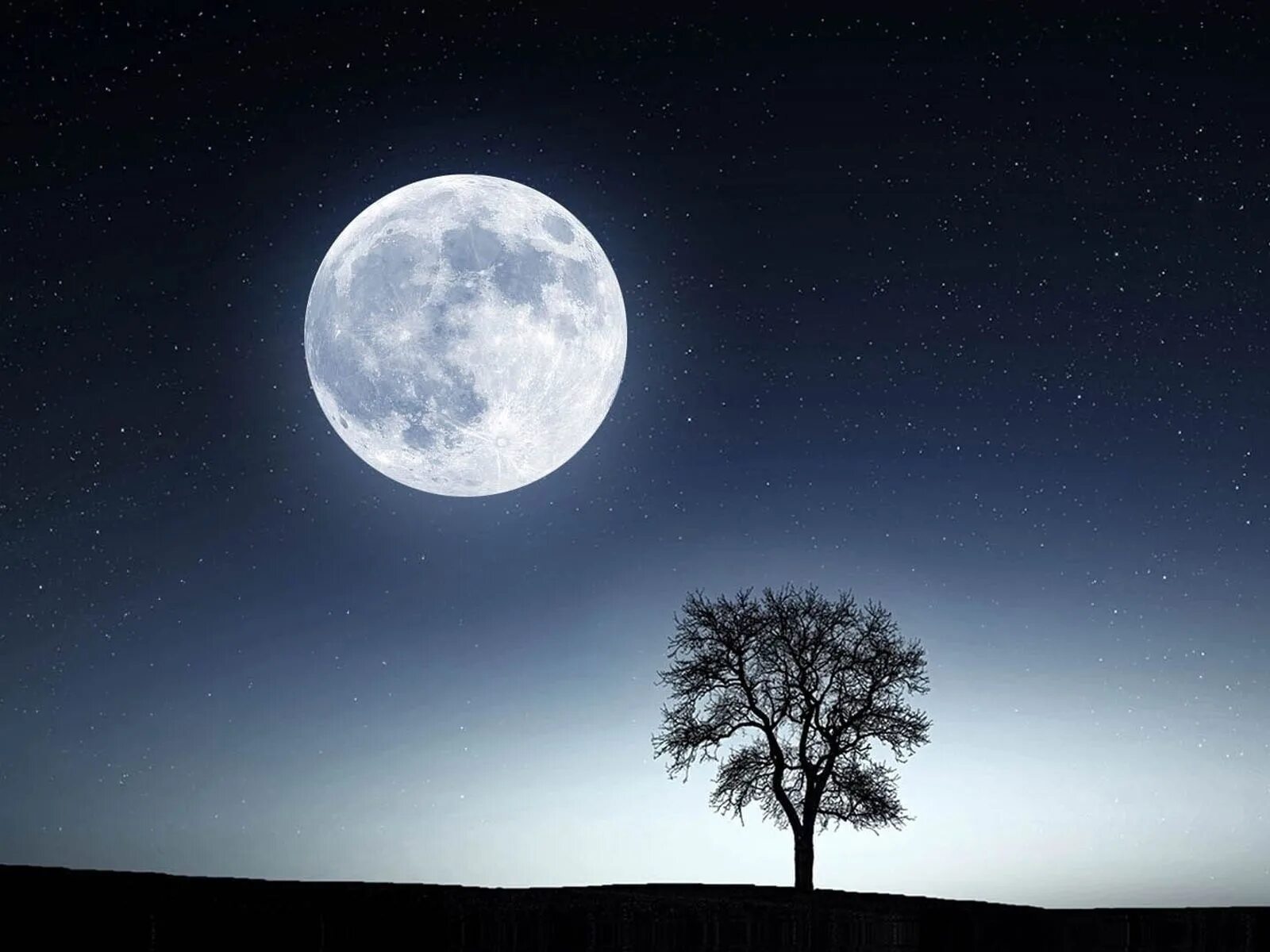 13 апреля луна. Суперлуние в 2021. Полнолуние в марте 2022. Большая Луна. Луна полнолуние.