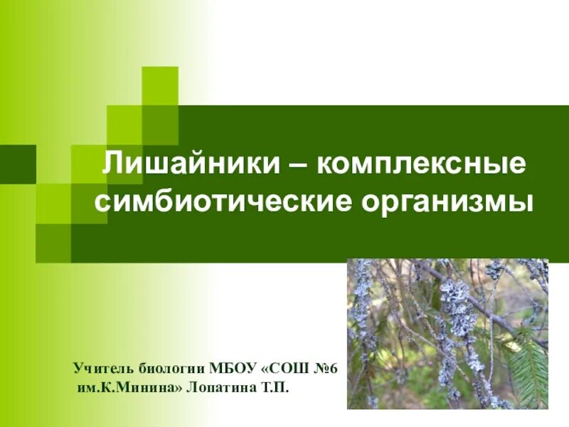 Лишайники комплексные симбиотические организмы. Комплексный симбиотический организм. Лишайники комплексные симбиотические организмы 5 класс. §26. Лишайники - комплексные симбиотические организмы. Лишайник комплексный организм