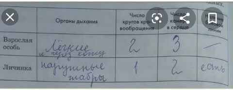 Взрослых особей