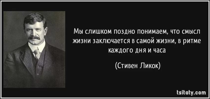 В чем смысл жизни человека. В чем смысл жизни цитаты. Смысл жизни заключается в самой жизни. Смысл жизни заключается в том что. Смысл жизни человека заключается.