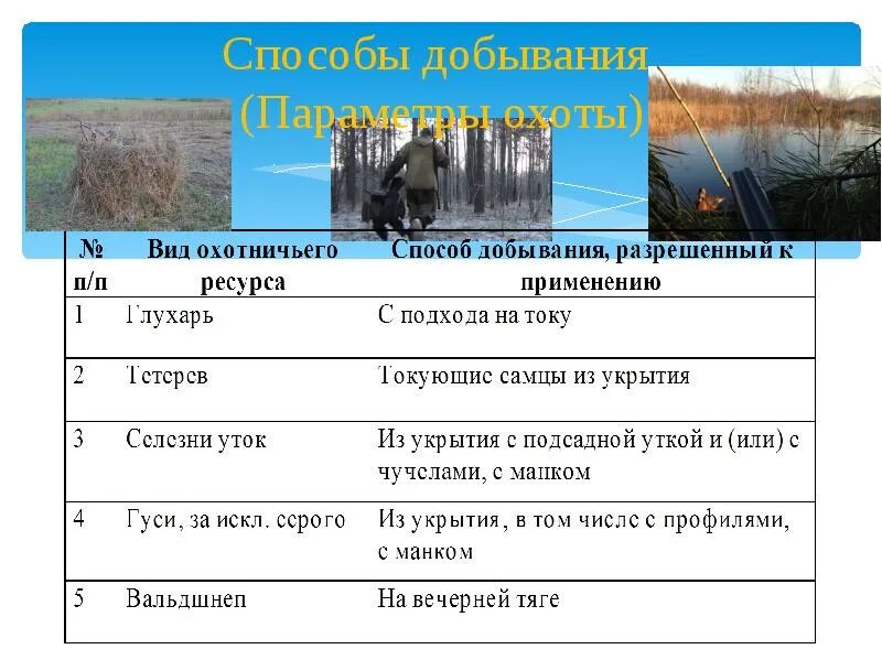 Природные ресурсы добыча охотничьих ресурсов. Виды охотничьего ресурса. вид охотничьих ресурсов. охота правовые аспекты. добыча и охотник примеры.